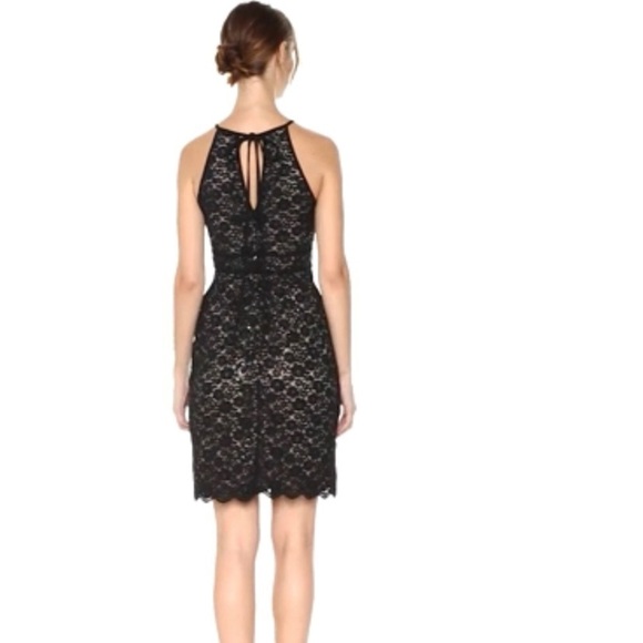 Nightway | Lace Short Banded Cocktail Dress - Picture 3 of 14